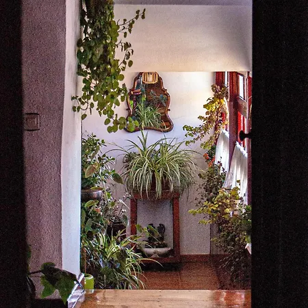 Casa de hóspedes La Casona De *