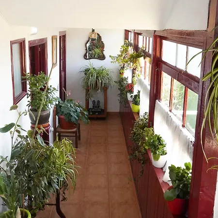 La Casona De Pension Faedo