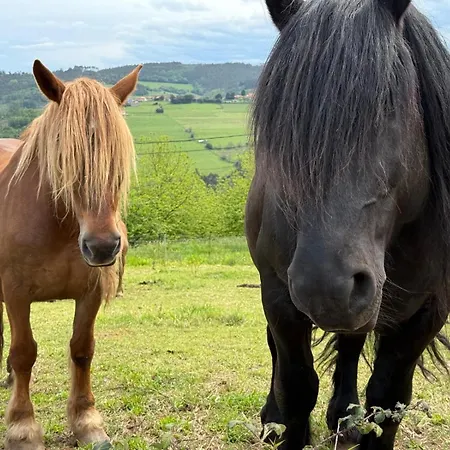 Hotel La Casona De Faedo