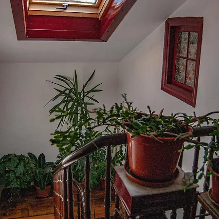 La Casona De Faedo * Cudillero