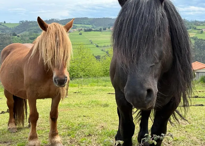 Hotel La Casona De Faedo