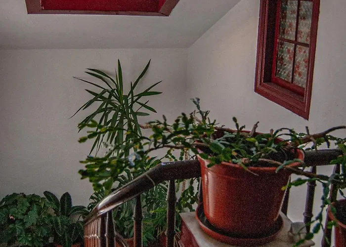 La Casona De Faedo * Cudillero