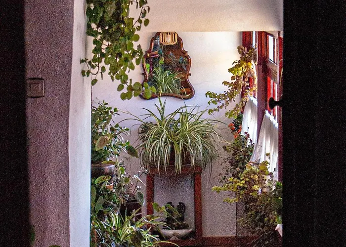 Hotel La Casona De Faedo *